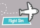 Flight Sim Game