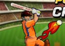 Putere Cricket T20 Game