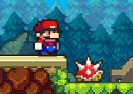 Super Mario Special Edition Game