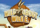 Kojot Wile A Road Runner Game